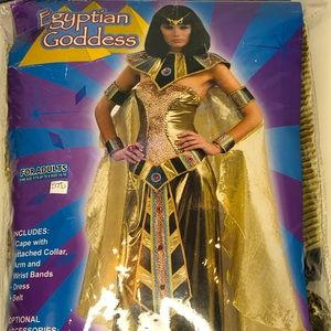 Cleopatra Deluxe Gold Halloween Costume Egyptian Goddess Adult STD size NEW
